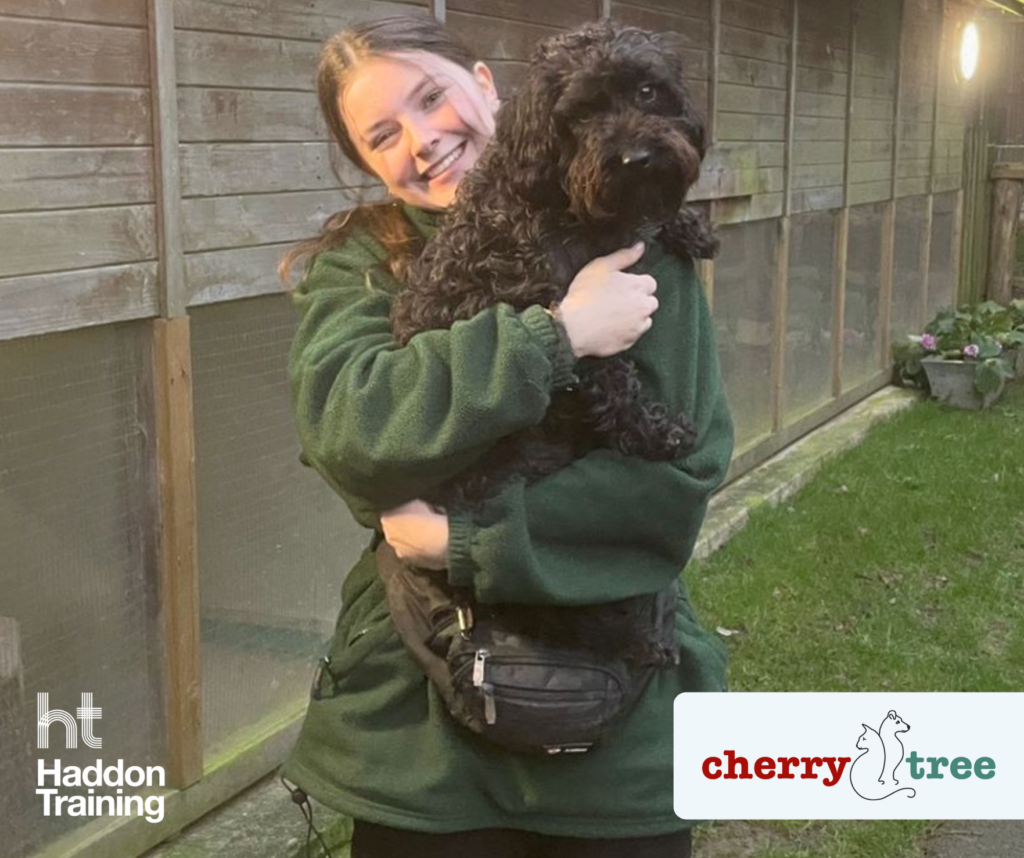 Celebrating Caitlin’s Distinction in Animal Care & Welfare - Haddon ...